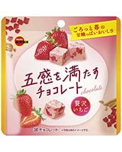 五感を満たすチョコレート贅沢いちご