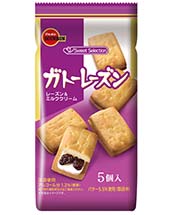 ガトーレーズン